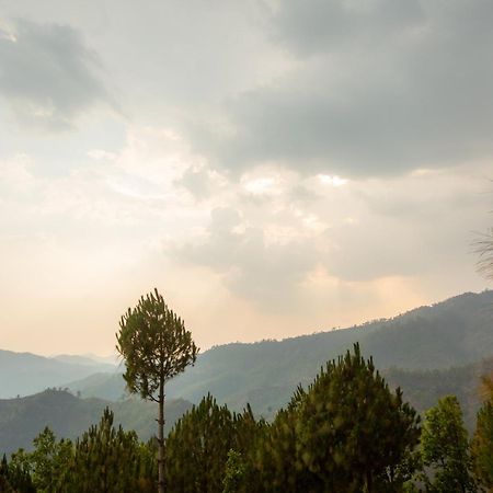 Blue Pine Orchards - Villas Lansdowne Luaran gambar