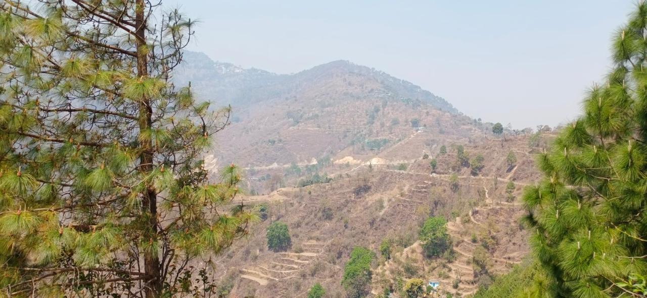 Blue Pine Orchards - Villas Lansdowne Luaran gambar
