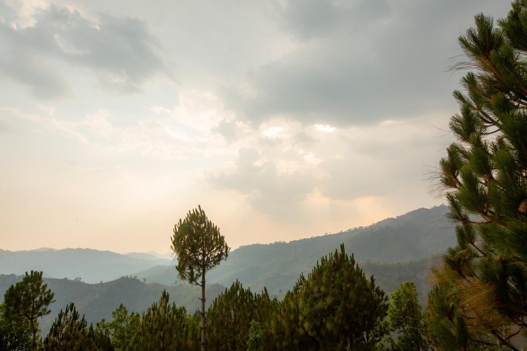 Blue Pine Orchards - Villas Lansdowne Luaran gambar